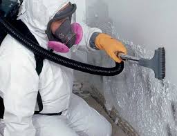 Best Airborne Mold Testing  in Independence, WI